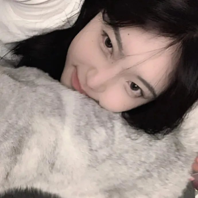 刚左档案